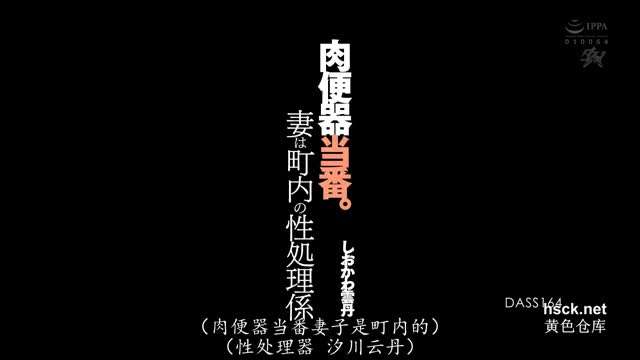 DASS-164 肉便器专门-汐川云丹详情介绍【中文字幕】海报剧照