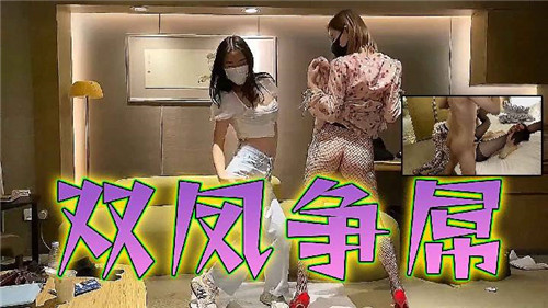 双凤抢着吃巨根